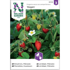 Семена клубники Nelson Garden Seed Strawberry Rugen